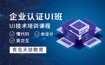 企业认证ui班