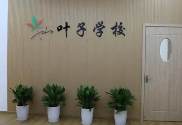 南宁量体网络培训课程