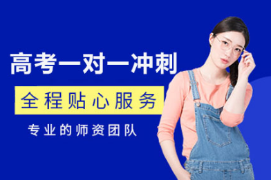 太原高考一对一冲刺班